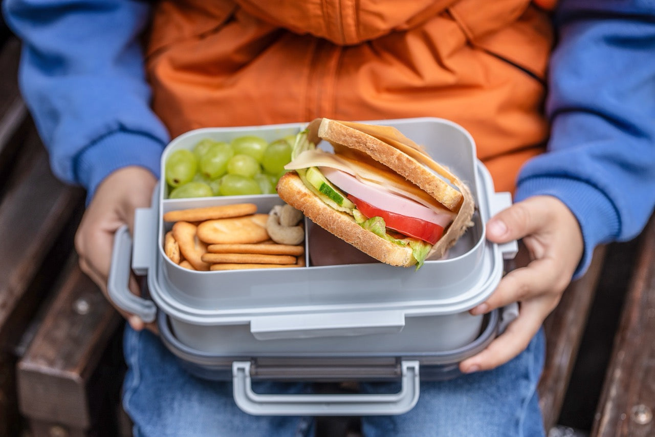 Healthy Lunchbox Ideas That Keep Kids Full and Focused