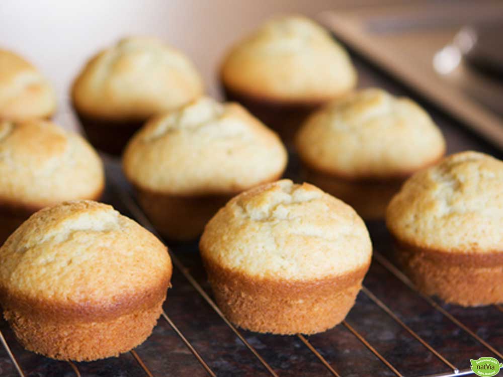 Basic Sugar Free Vanilla Cupcakes