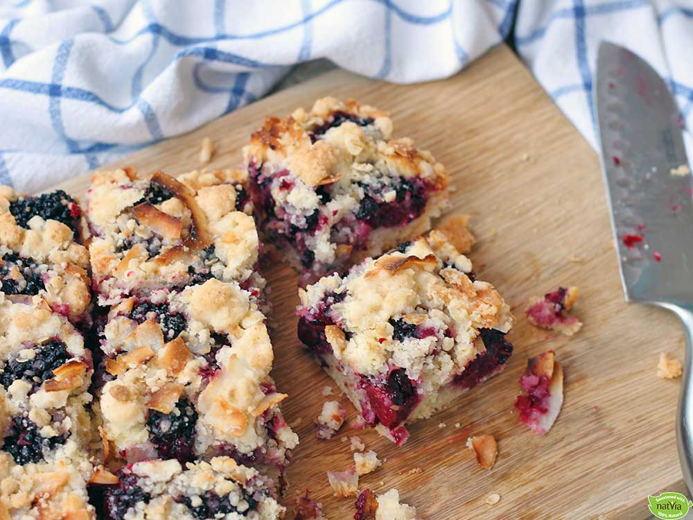 Blackberry-Coconut-Squares