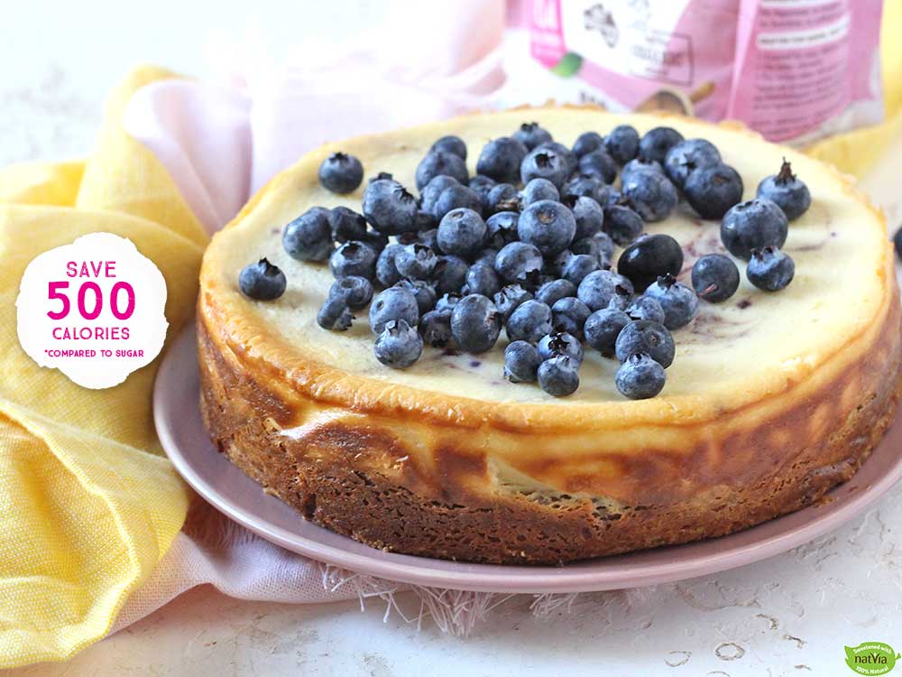 Blueberry-American-Cheesecake