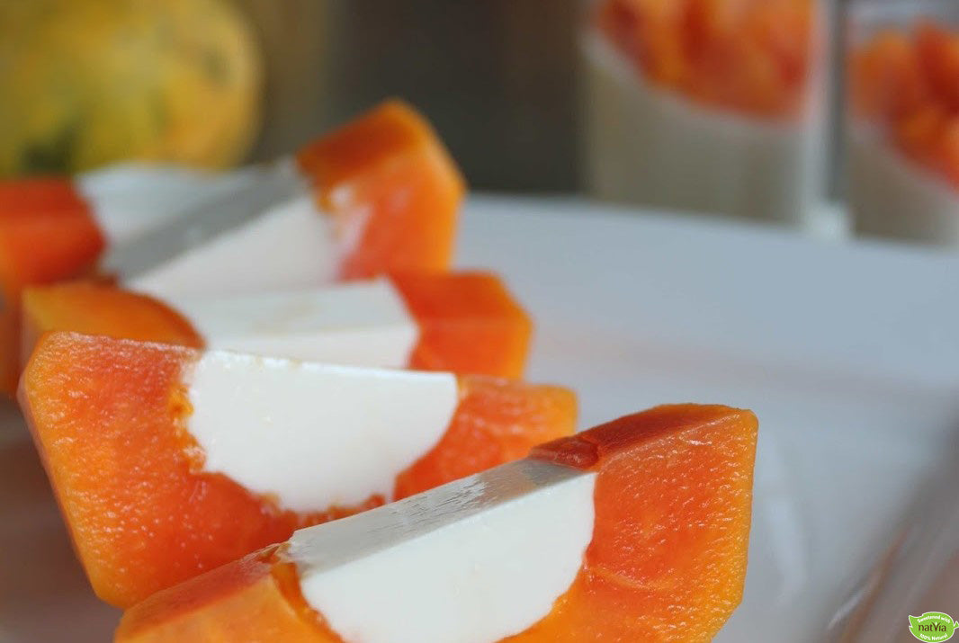 Papaya Coconut Panna Cotta