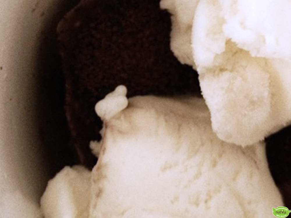 Mug Chocolate Cake