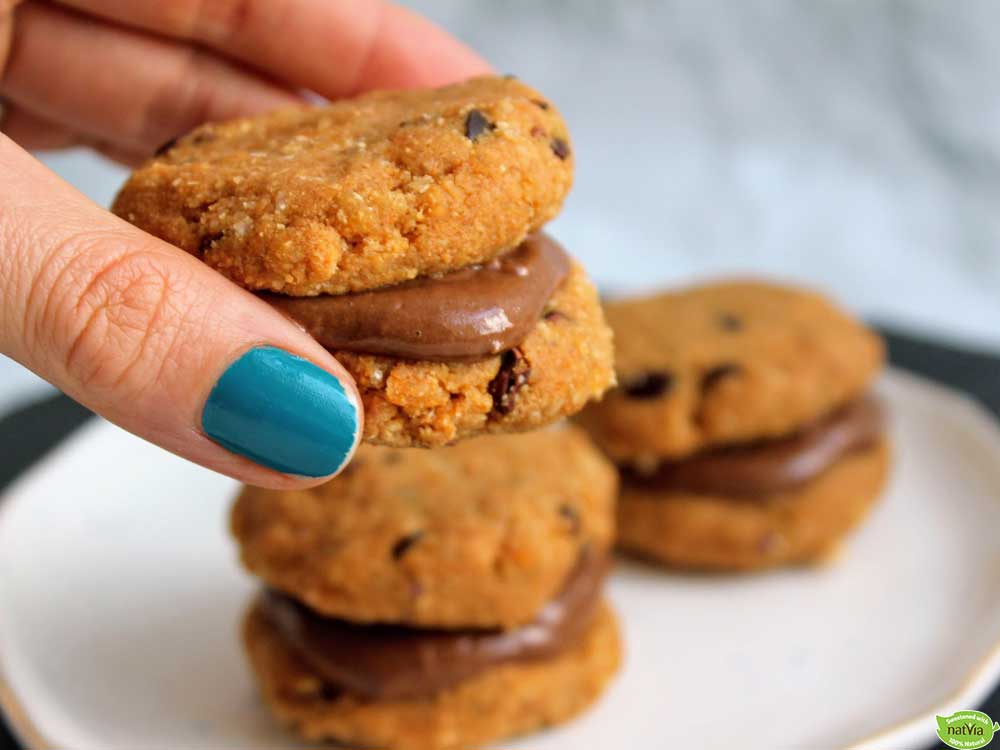 Peanut Butter Chocolate Sandwich Cookies