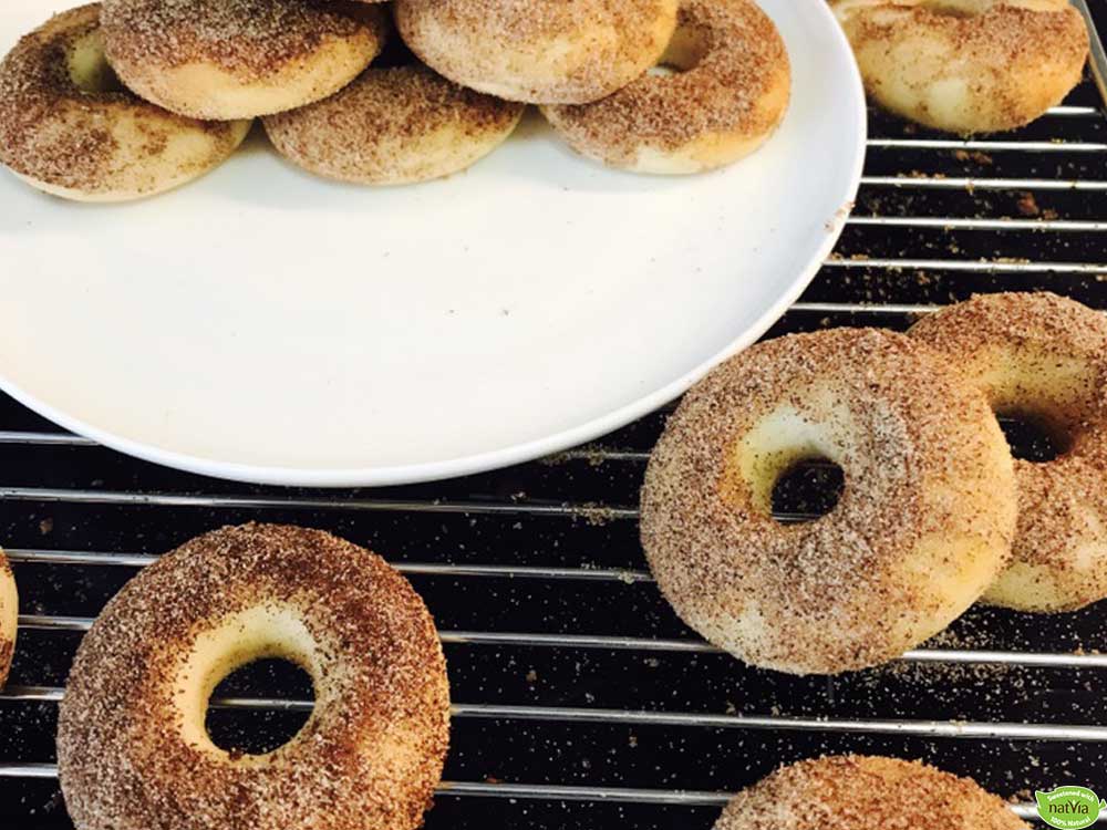 SUGAR-FREE AIR FRYER CINNAMON DONUTS
