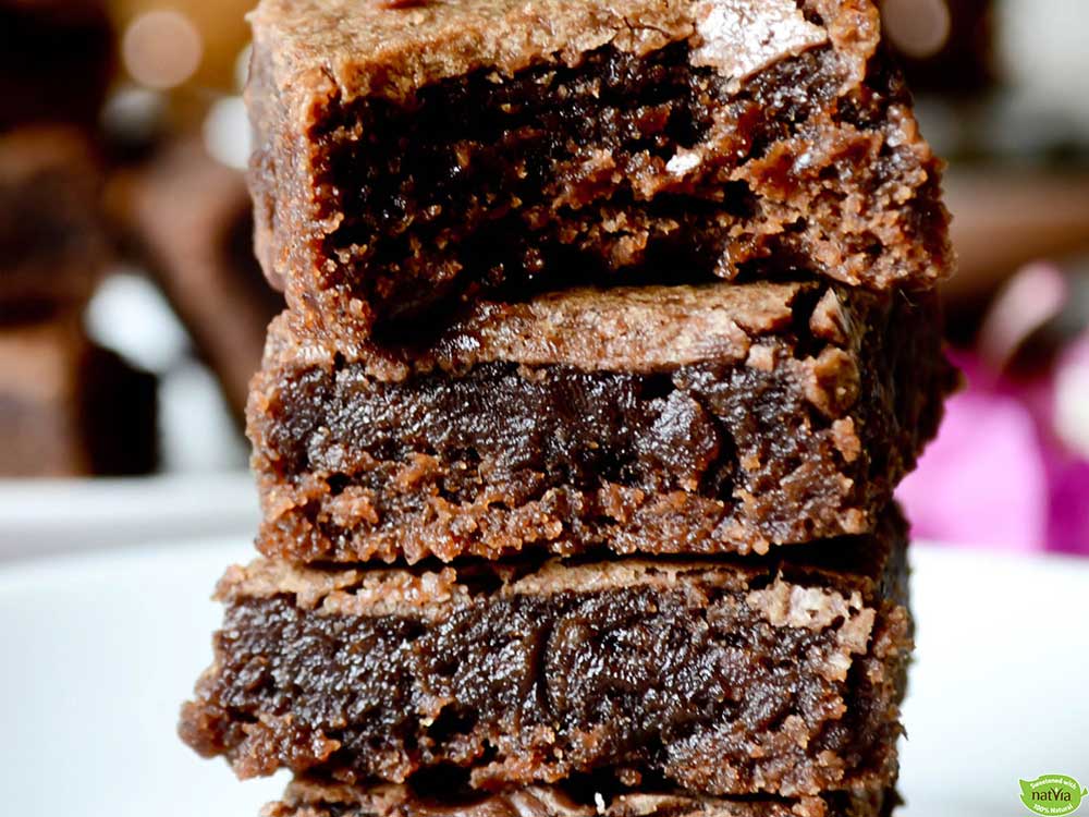 SUGAR FREE COCOA BROWNIES