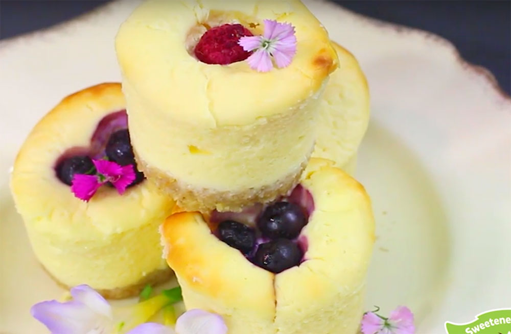 REFINED SUGAR FREE MINI CHEESECAKE