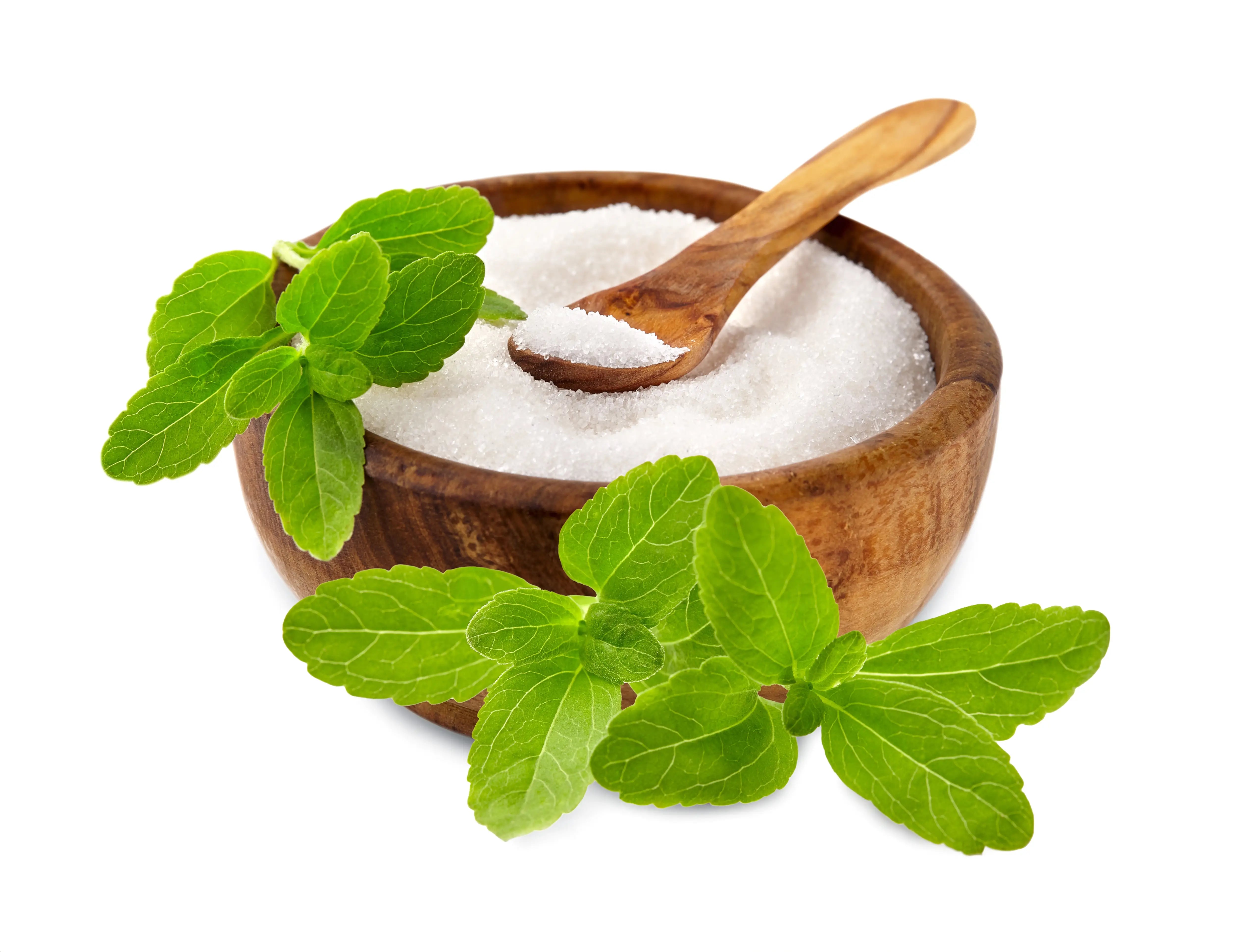 Stevia plant and smal bowl with sweetener