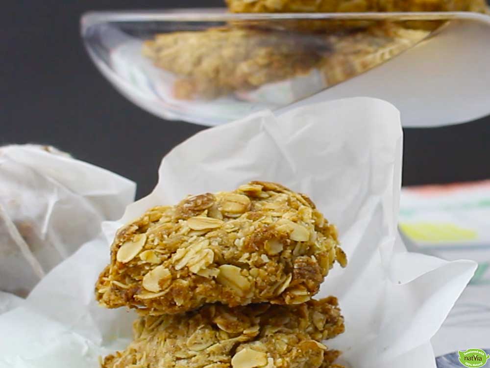 Sugar Free Anzac Biscuit