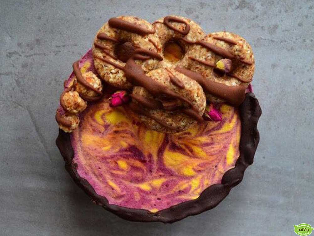VEGAN FROZEN YOGURT MANGO & CHERRY CAKE