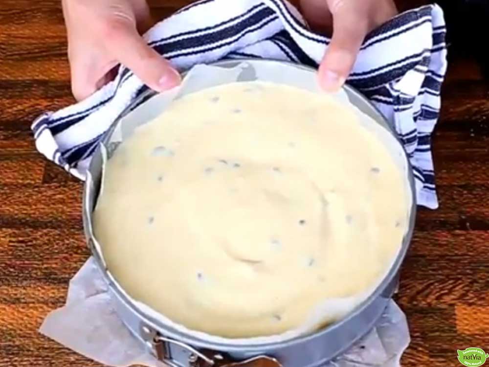 VIDEO: SUGAR FREE PASSION FRUIT CHEESECAKE RECIPE