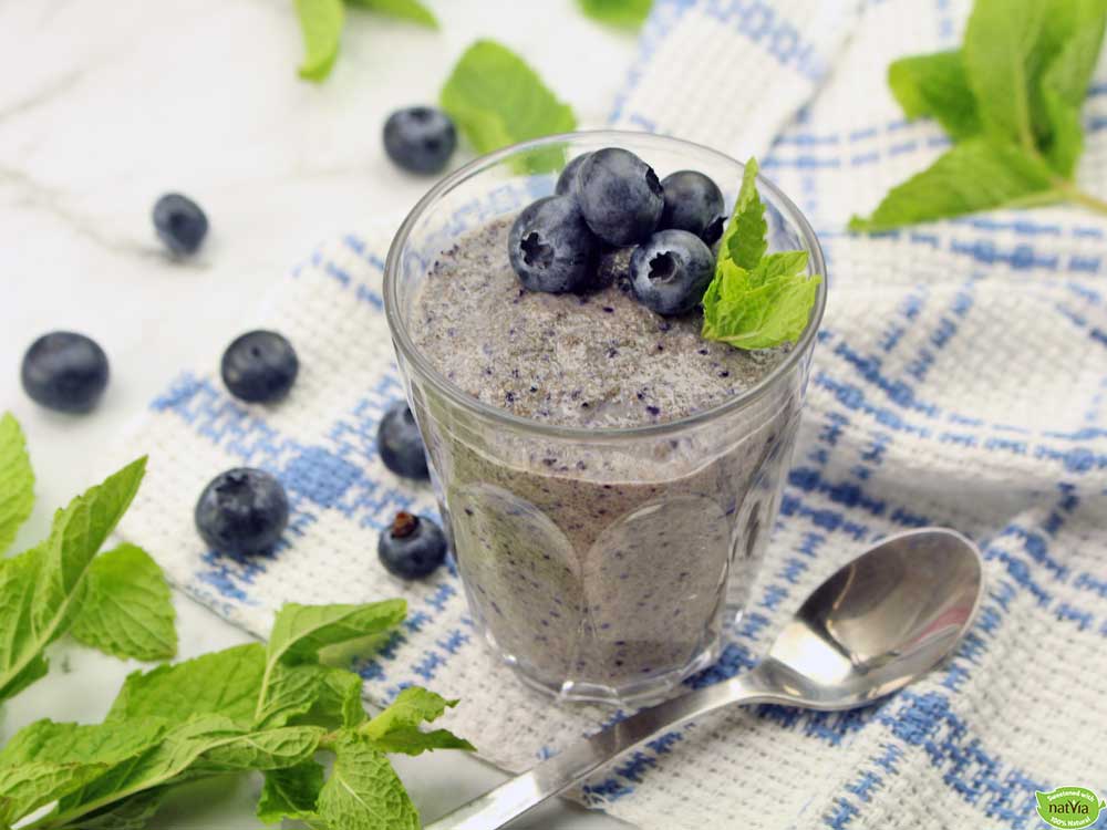 Blueberry Chia Mint Pudding