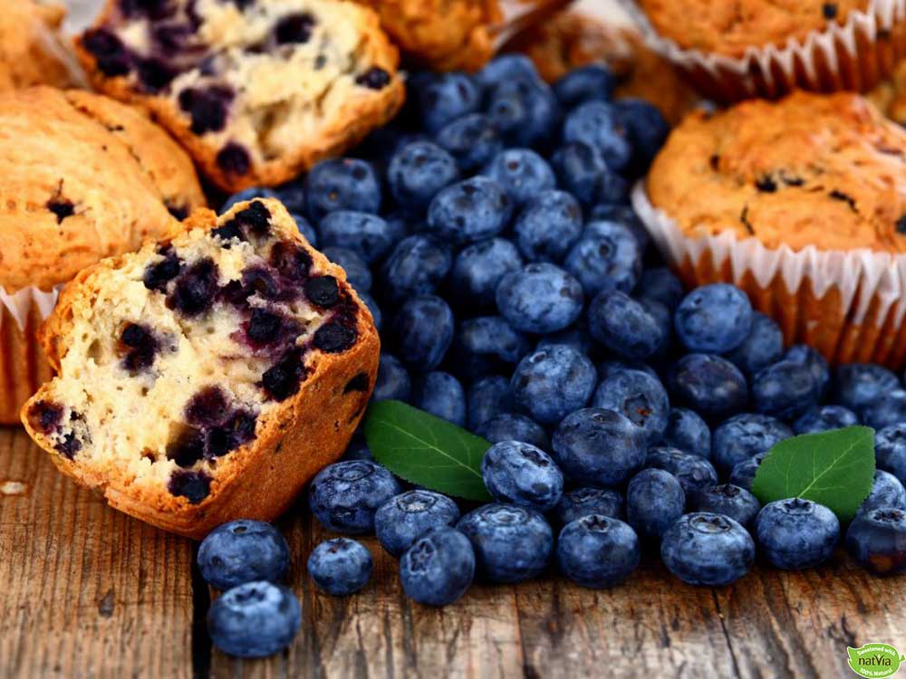 SUGAR-FREE BLUEBERRY MUFFINS
