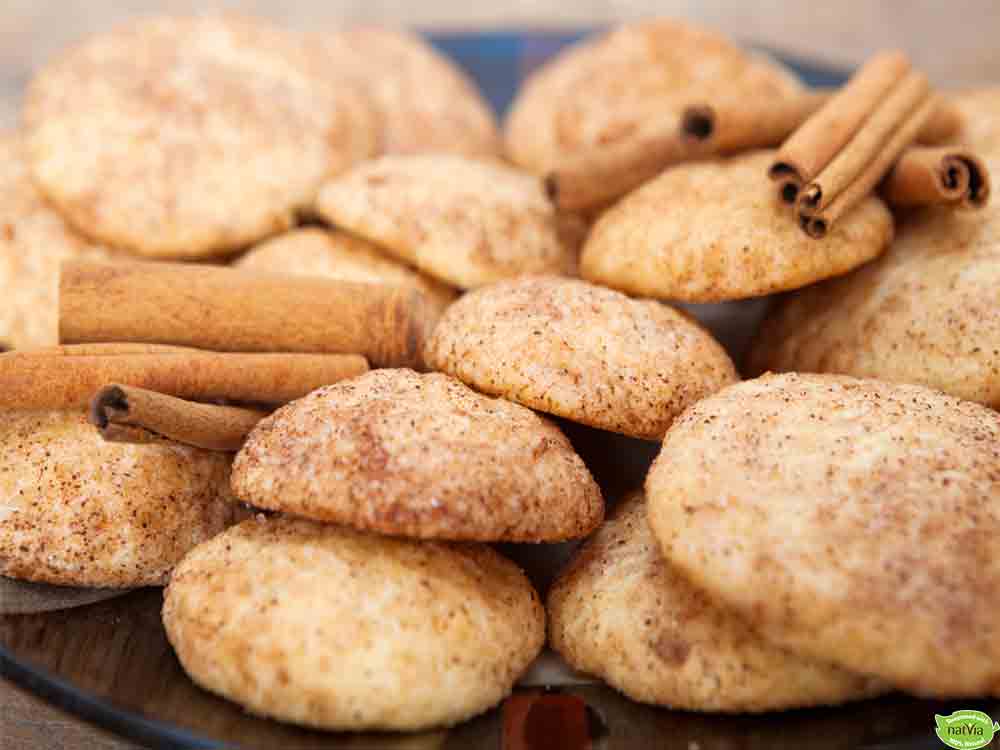 SUGAR FREE SNICKERDOODLE COOKIES