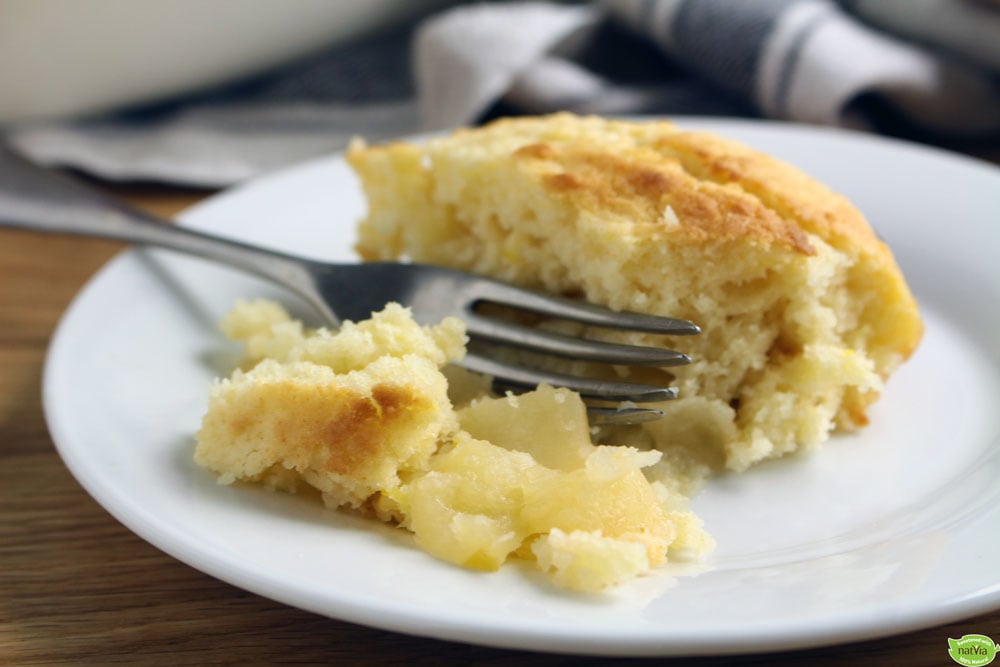 Apple Sponge