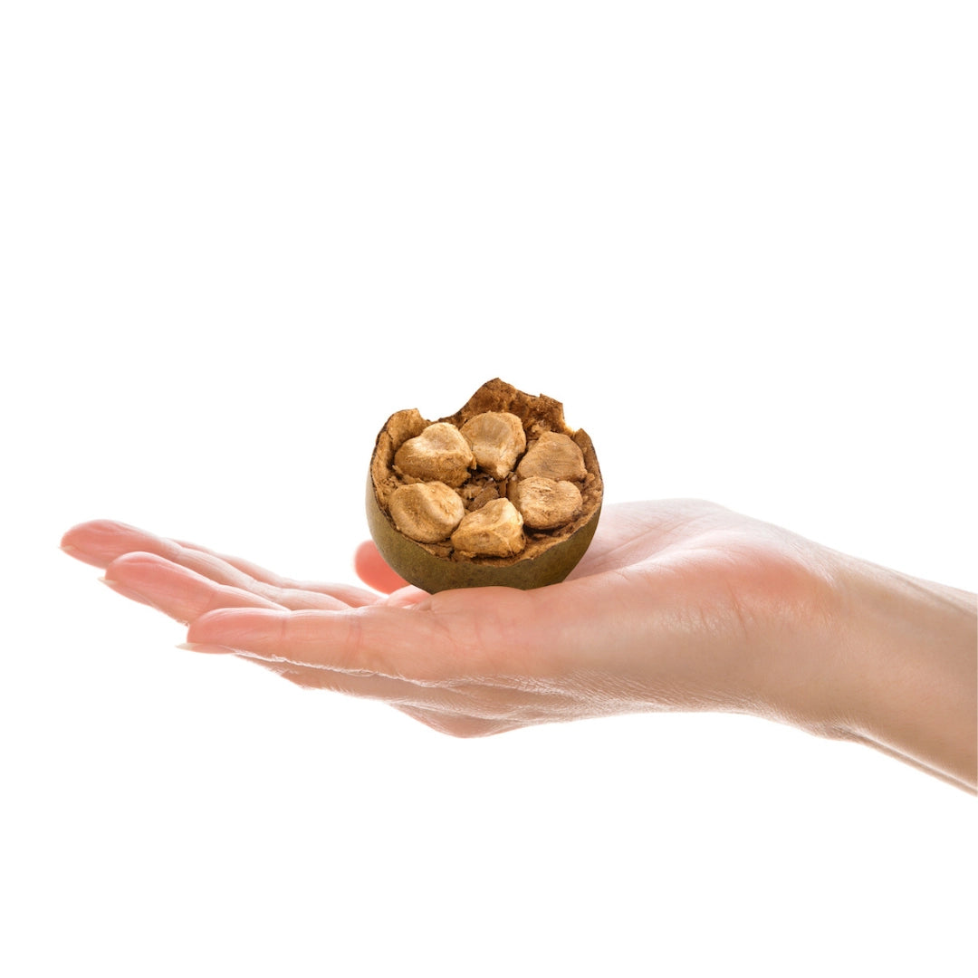 product-1-1 Hand With Monk Fruit Decorative Image